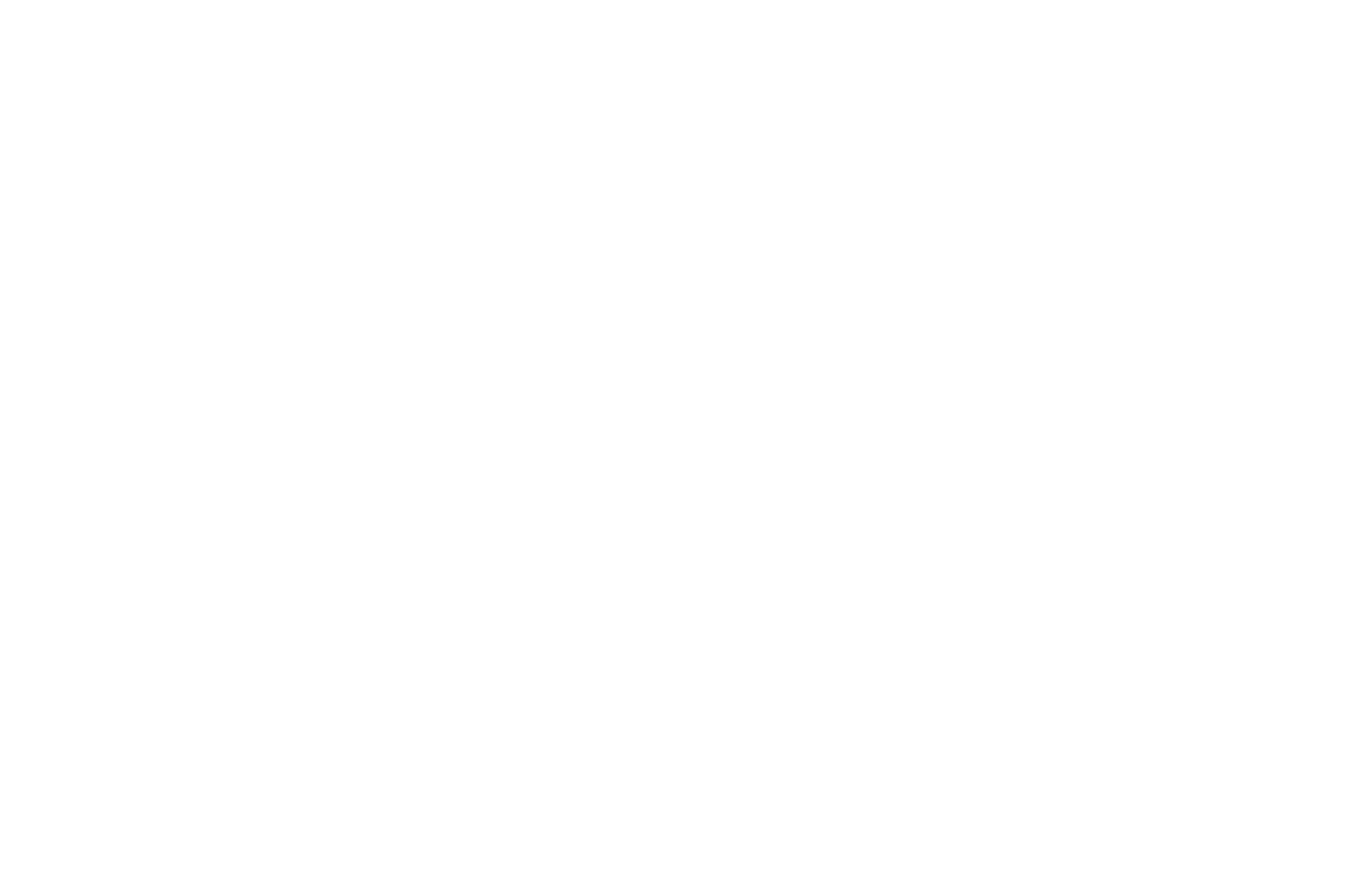 Satva Impex logo